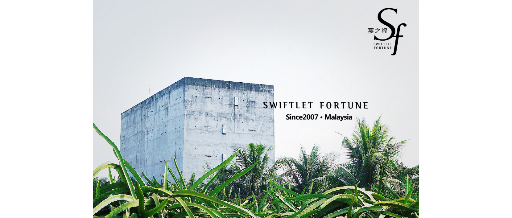 Swiftlet Fortune (Since2007 Malaysia)