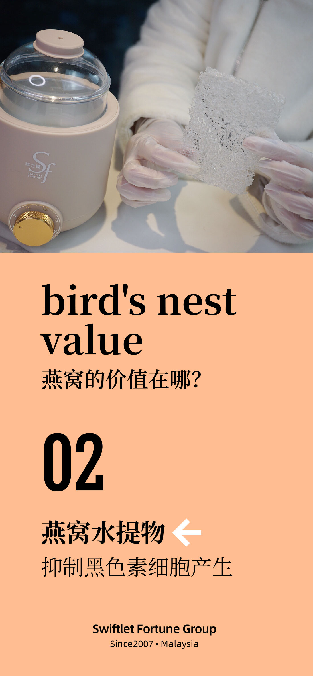 VALUE OF BIRD'S NEST 2