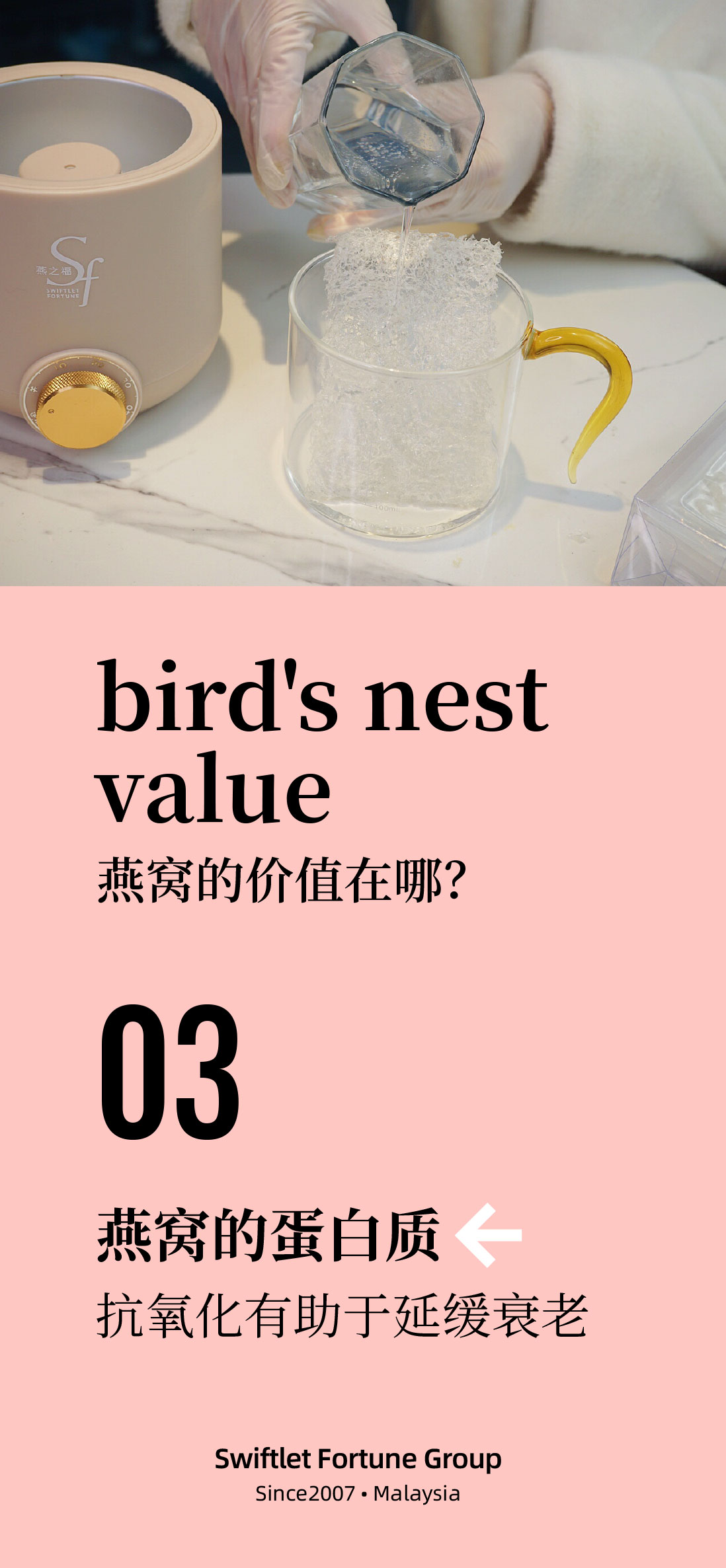 VALUE OF BIRD'S NEST 3