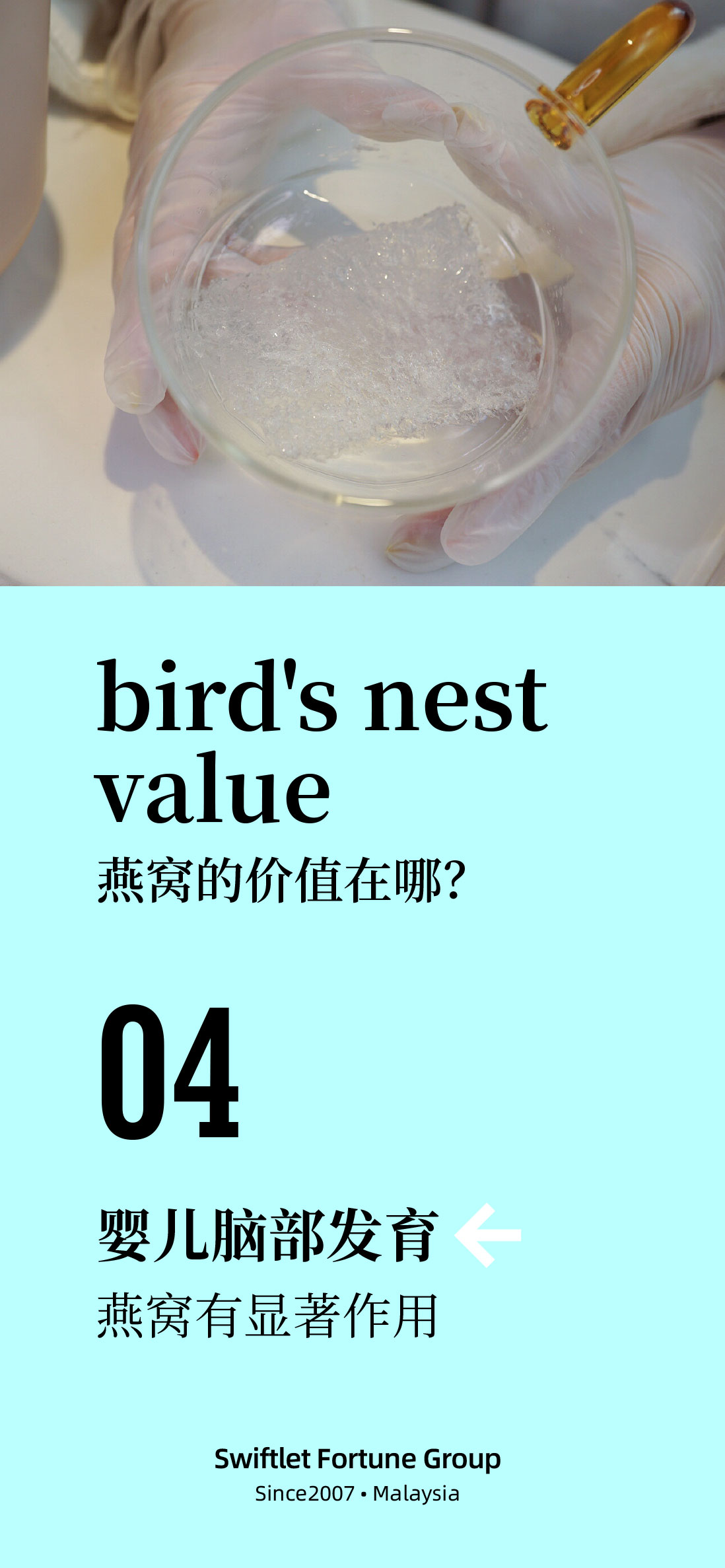 VALUE OF BIRD'S NEST 4