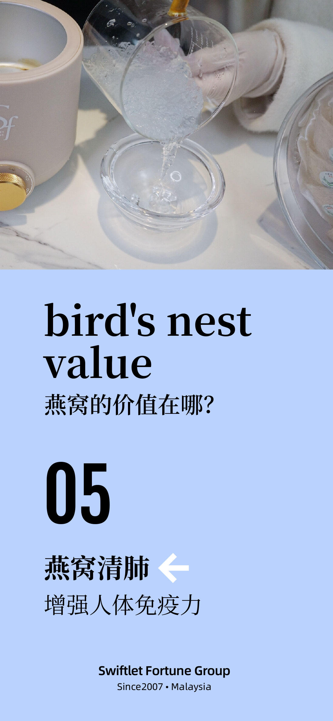 VALUE OF BIRD'S NEST 5