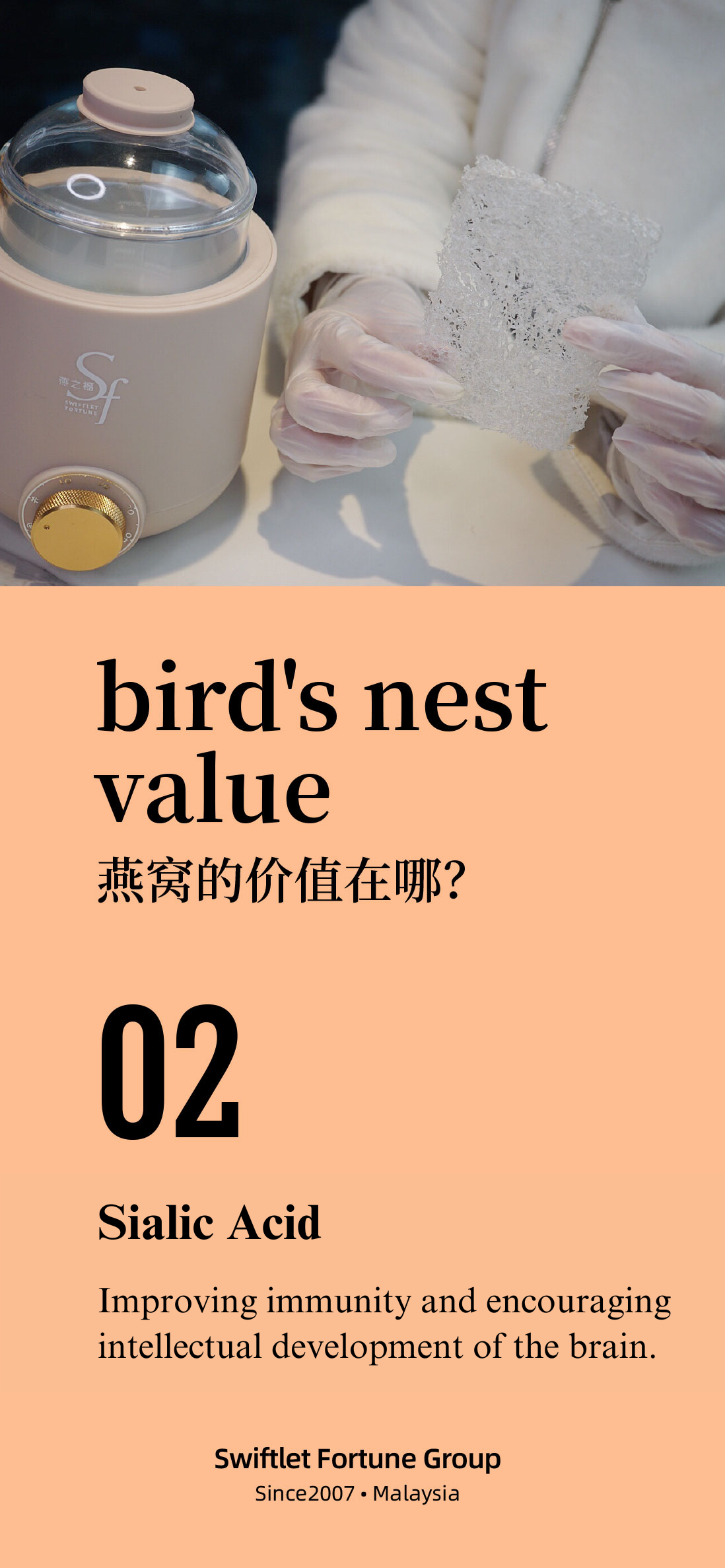 bird nest benefit 3